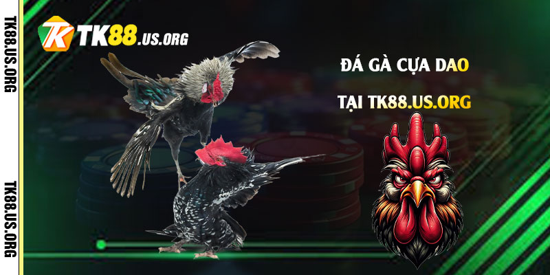 Đá-Gà-Cựa-Dao