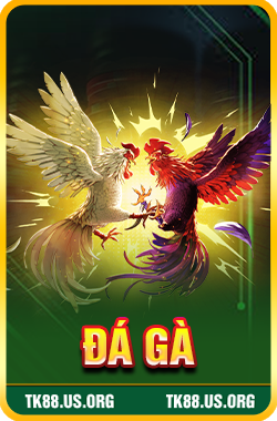 Đá Gà