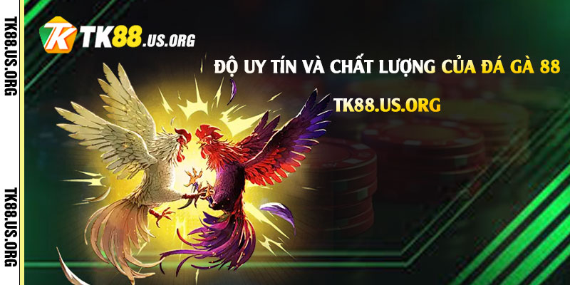 Độ uy tín và chất lượng của Đá Gà 88