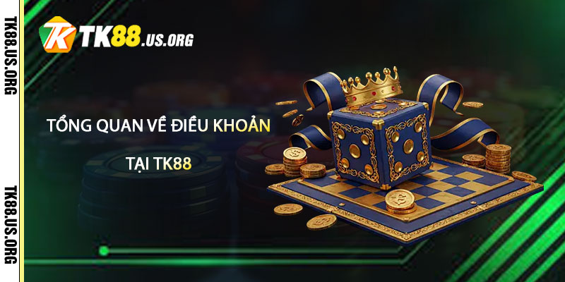 Tổng quan về Điều Khoản TK88